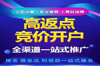 百度竞价包年策略：成功案例解析与经验分享